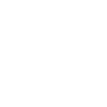 Pigeons